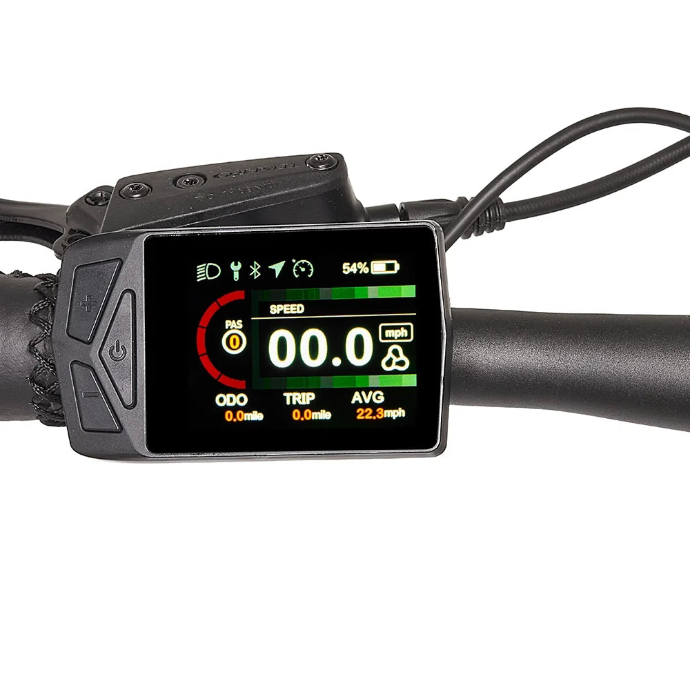 LCD display on the Hygge Lossø 2026 commuter e-bike