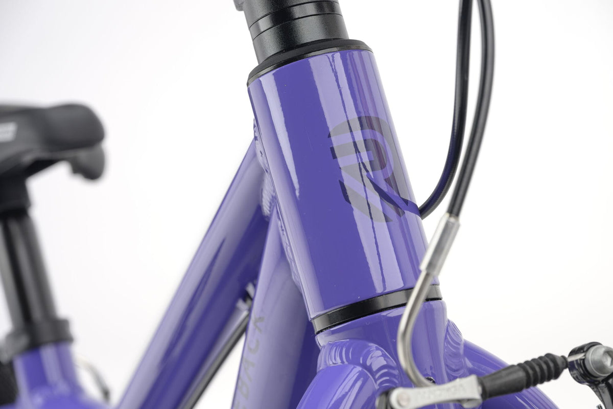 Ridgeback Dimension 14, Lightning Lilac, detail