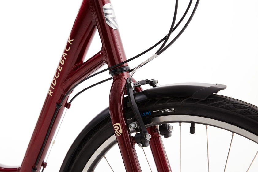 Ridgeback Avenida 6, photo 5