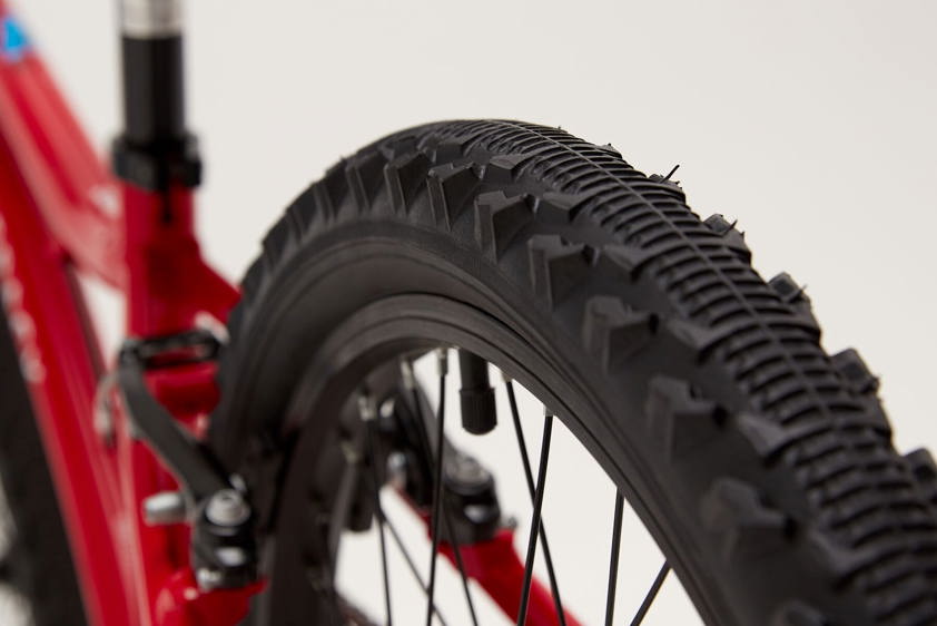 Ridgeback MX20, photo 5