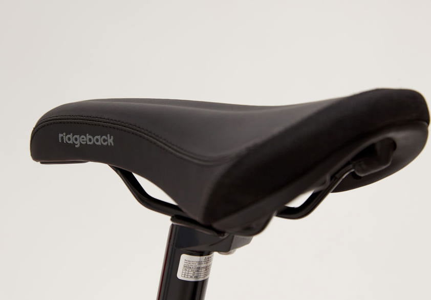 Ridgeback MX20, photo 7