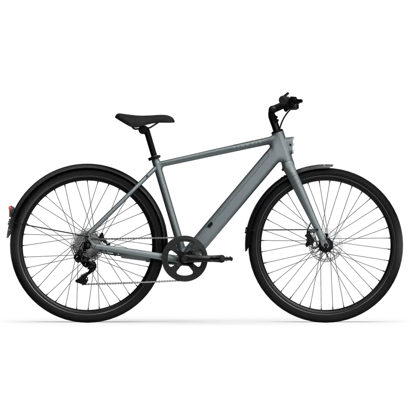 Tenways CGO600 Plus Chain Drive E-Bike, photo 2