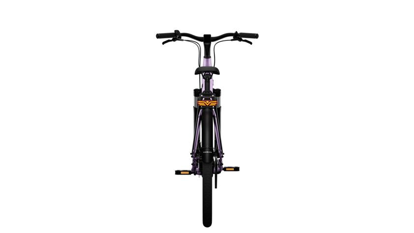Tenways CGO800S Belt Drive E-Bike, photo 20