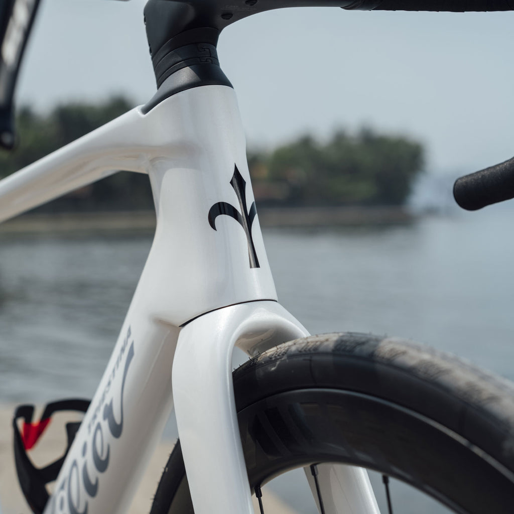 Wilier Rapida 105 12-Speed Road Bike, Weekend White, view 5