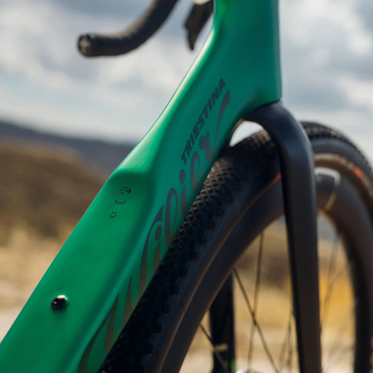 Wilier Rave SLR ID2 Force Gravel Bike, Pixel Green