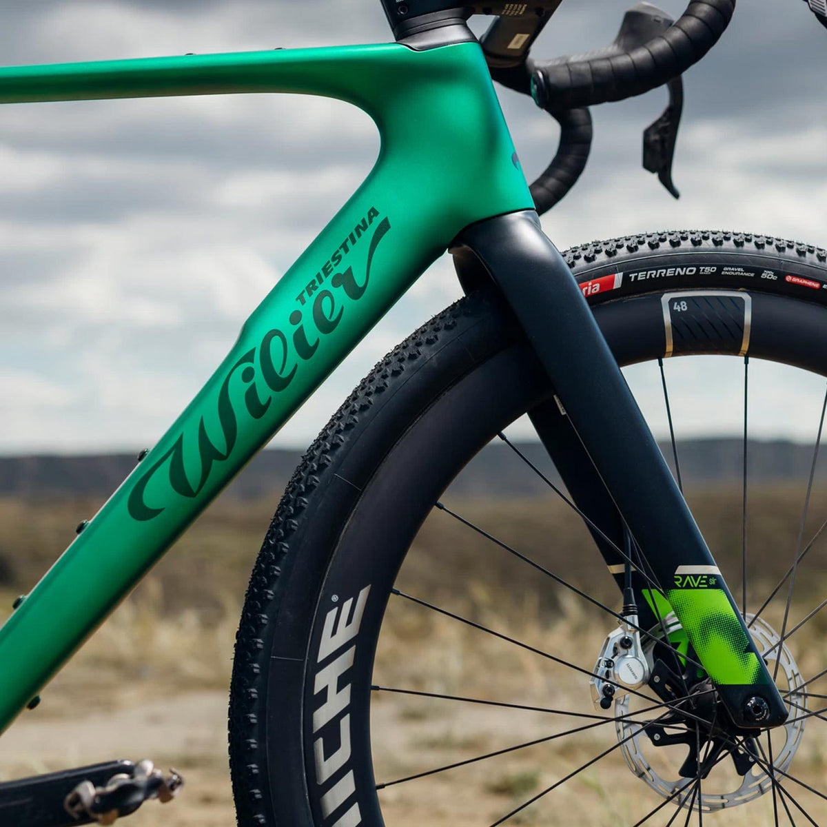 Wilier Rave SLR ID2 GRX Di2 Gravel Bike, Green
