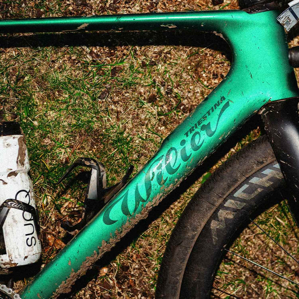 Wilier Rave SLR ID2 GRX Di2 Gravel Bike, Green